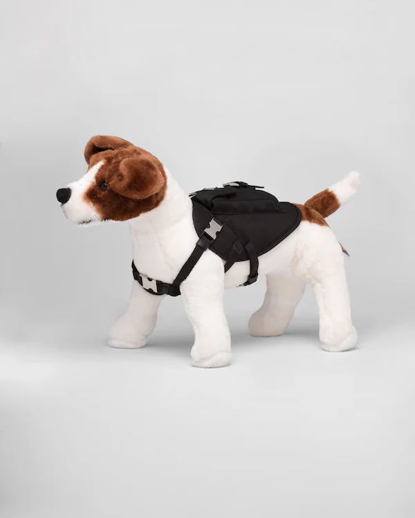 Cinturino per cani in Re-Nylon